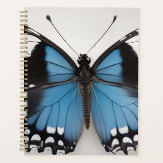 Planificateur papillon bleu