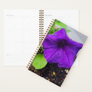 Planificateur Pretty Purple Petunia - Photo Origin