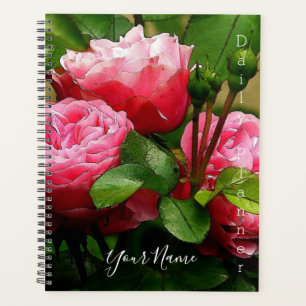 Planificateur quotidien avec photo en couleur - HA