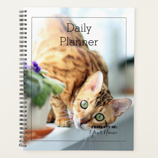 Planificateur quotidien - Chat - HAMbWG (Devant)