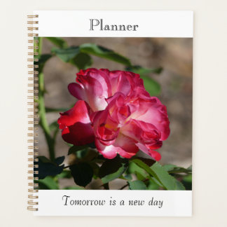 Planificateur Rose Étincelante