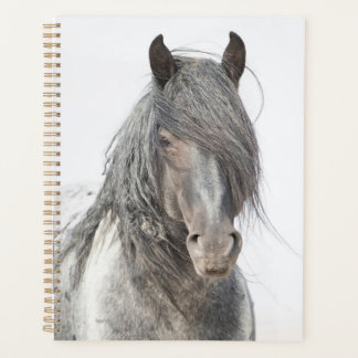 Planificateur Zeus bleu