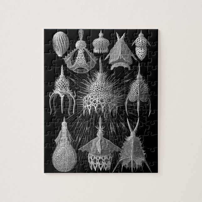 Plankton Shells in Black and White (Cyrtoidea) Jigsaw Puzzle (Vertical)