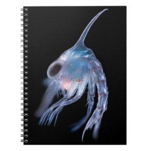Planktonic Crustacean Notebook