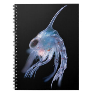 Planktonic Crustacean Notebook