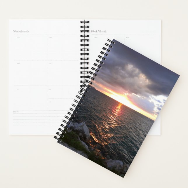 Planner (Display)