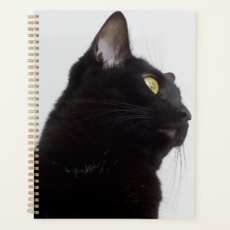 Planner