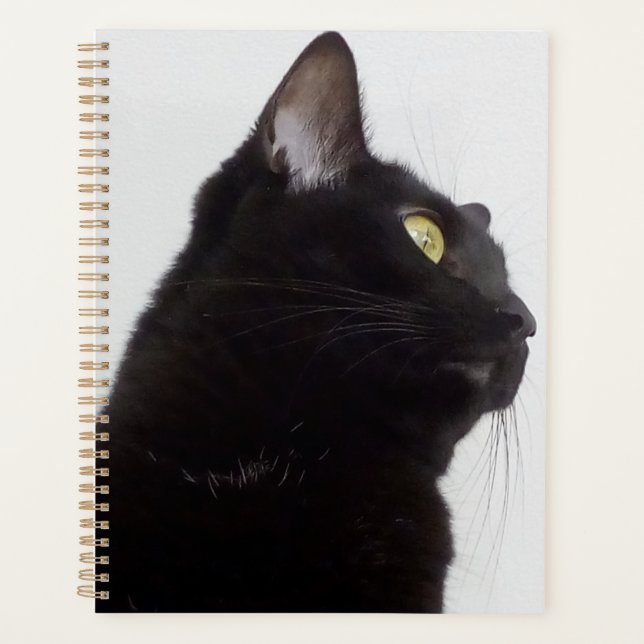 Planner (Front)