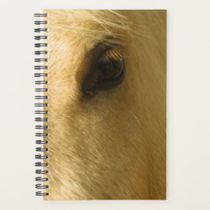 Planner Horse Photo Equine White Horse Closeup