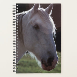 Planner Horse Photo Equine White Horsehead