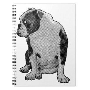 Plans Beside a Buddy Notebook