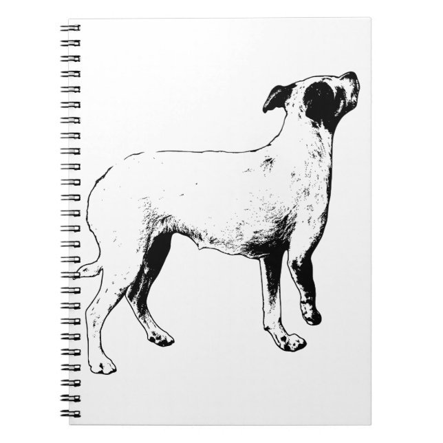 Plans, But Brighter Notebook (Front)