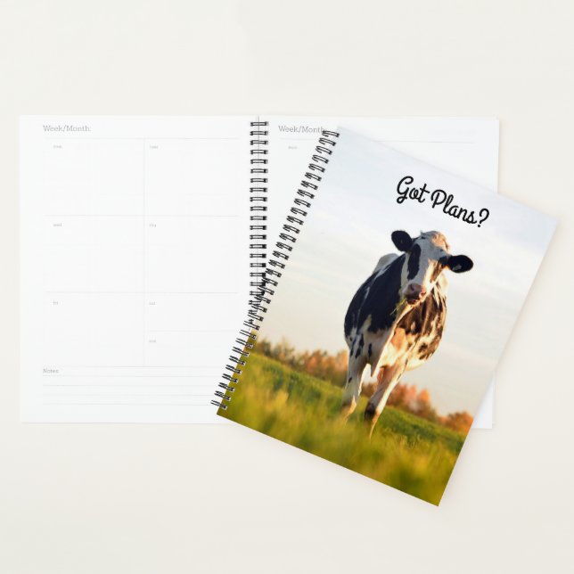 Plans mignons Holstein Heifer dans le pâturage (Lg (Devant avec enveloppe)
