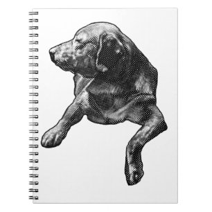 Plans with a Dot-Trimmed Lab Notebook