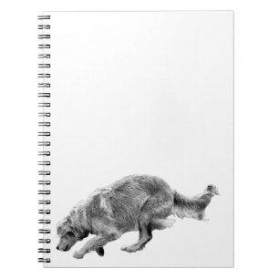 Plans with a Running Golden Notebook