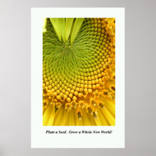 Plant a Seed. Grow a Whole New World! Poster 24x36