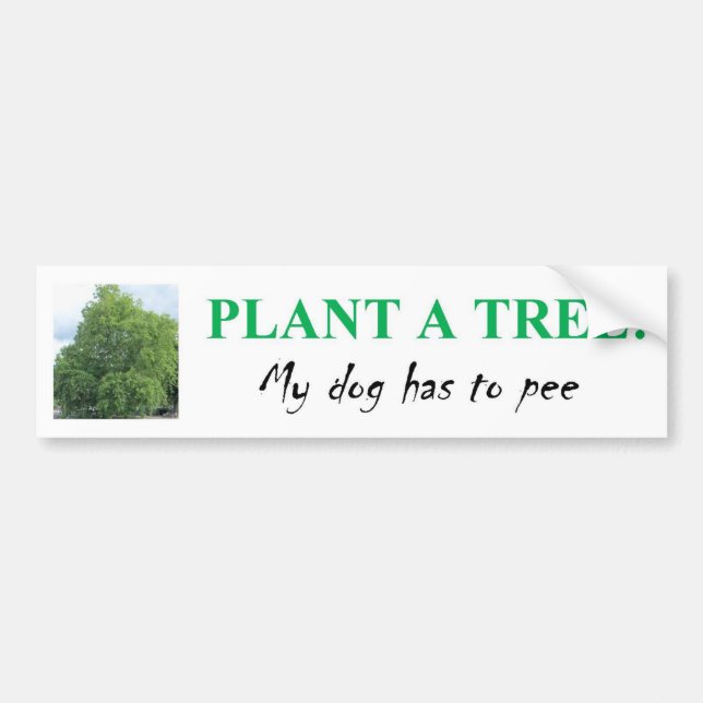 PLANT A TREE BUMPER STICKER (Front)