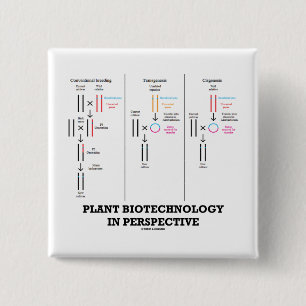 Plant Biotechnology In Perspective (Transgenesis) 2 Inch Square Button