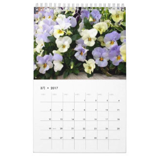 Plant Calendar 2017