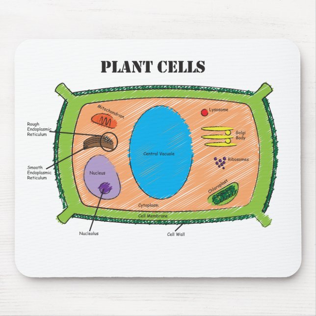 Plant Cell Diagram Mouse Pad (Front)