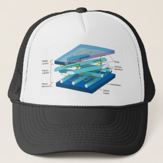 Plant cell wall diagram trucker hat