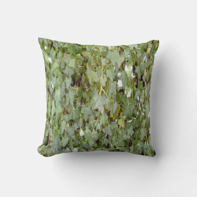 Plant covering stone wall throw pillow (Front)