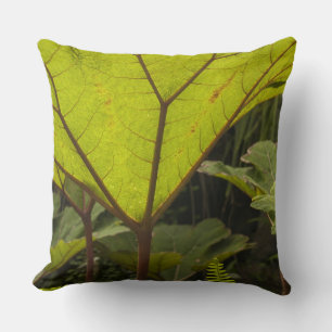 Plant detail at a botanical garden, Ecuador 2 Throw Pillow