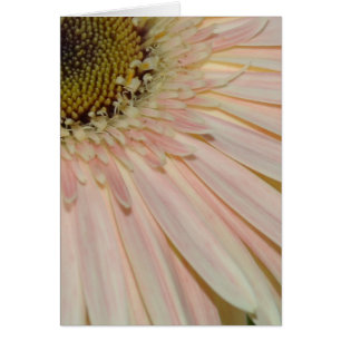 Plant for the Cure Flower