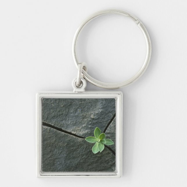 Plant Growing in Cracked Boulder Keychain (Front)