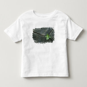 Plant Growing in Cracked Boulder Toddler T-shirt