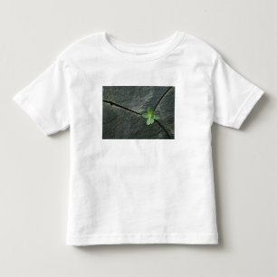 Plant Growing in Cracked Boulder Toddler T-shirt