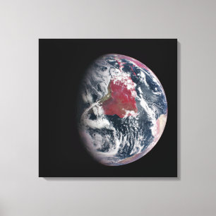 Plant Growth On Planet Earth. Canvas Print
