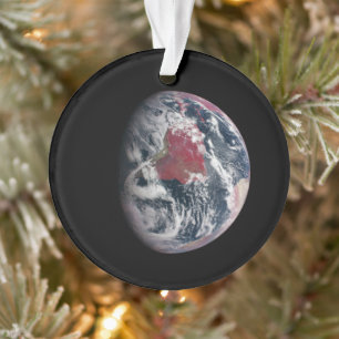 Plant Growth On Planet Earth. Ornament