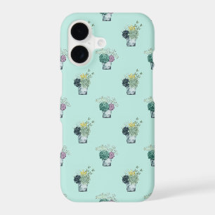 Plant Happiness Collection Succulents