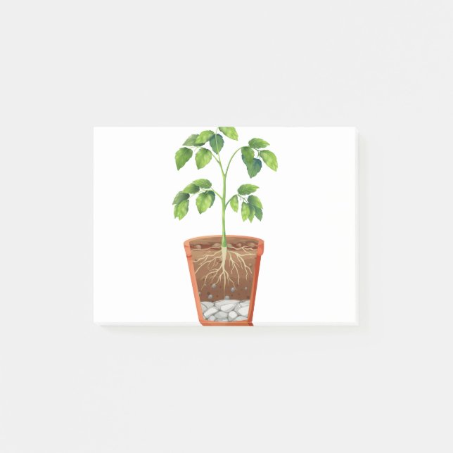 Plant in pot post-it notes (Front)