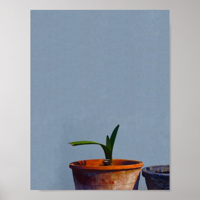 Plant in Pot Poster (Front)