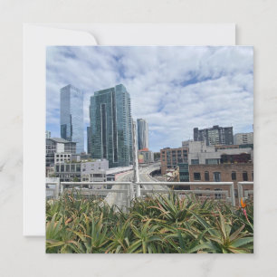 PLANT ITINERARY: San Francisco Announcement