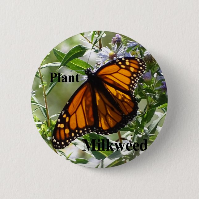 Plant Milkweed 2 Inch Round Button (Front)