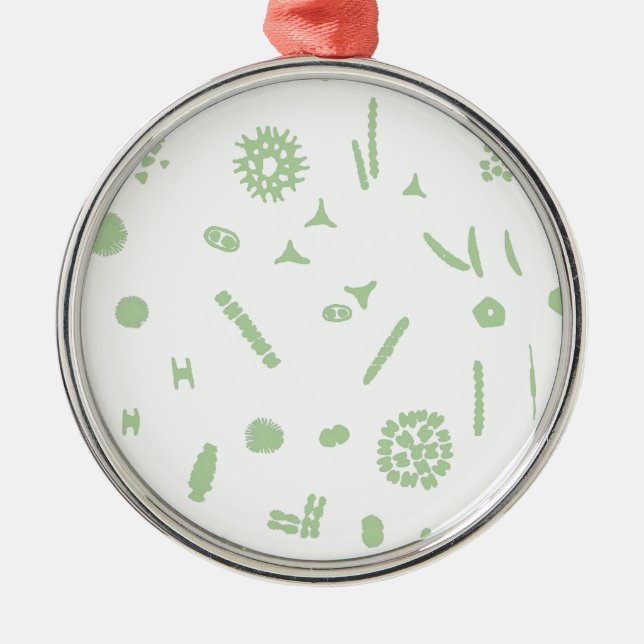 plant plankton metal ornament (Front)