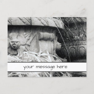 Plant Pots Early Spring Black White Custom Message Postcard