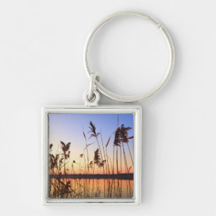 Plant Silhouette by Lakeside sunset Keychain