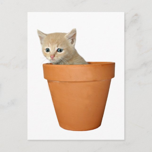 Plant some love postcard (Front)