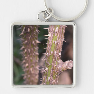 Plant Stem Thorns Nature Park Photography Keychain