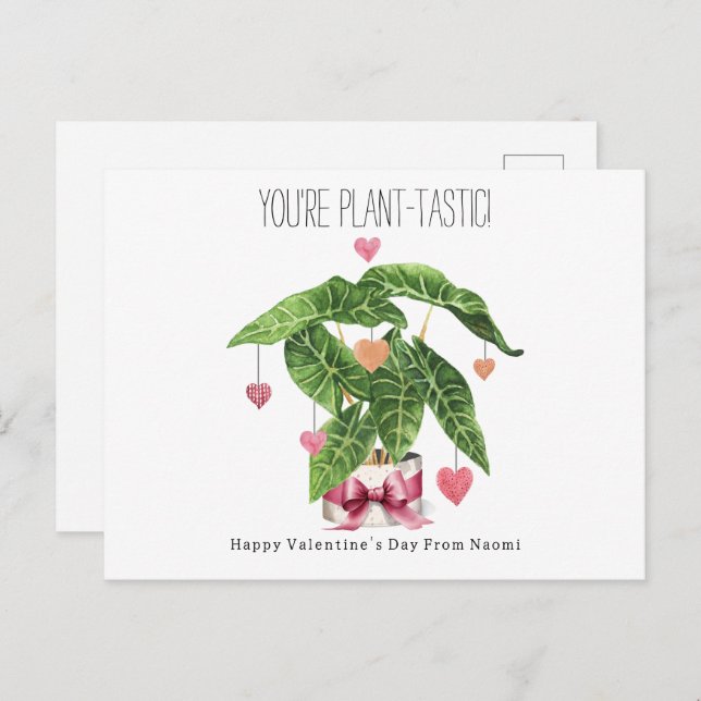 Plant-tastic Houseplant Pun Classroom Valentine  Postcard (Front/Back)