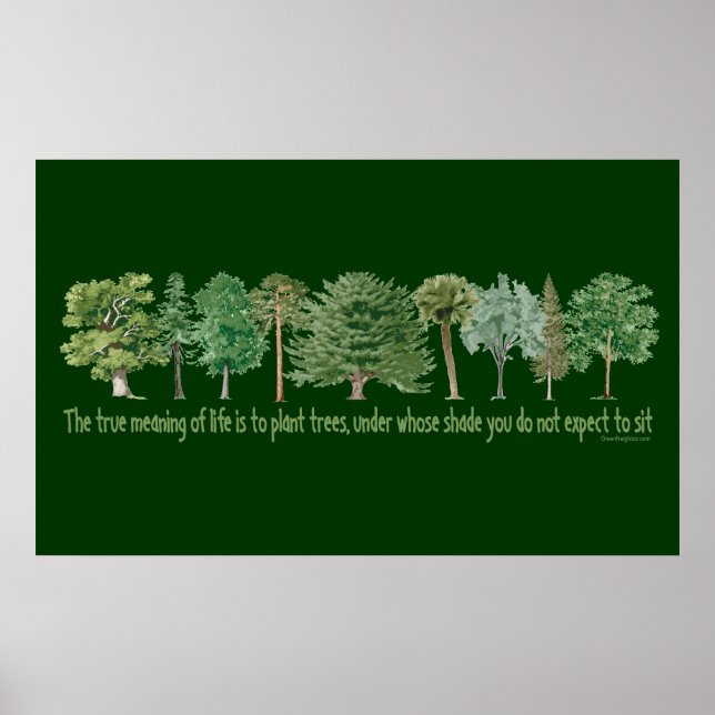 Plant Trees Poster (Front)