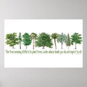 Plant Trees - Tree Lover, Hugger Poster