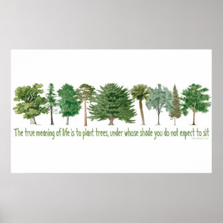Plant Trees - Tree Lover, Hugger Poster