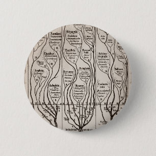 Plantae Protista Animalia 2 Inch Round Button