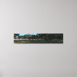 Plantation house near New Orleans Canvas Print