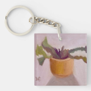 Plante Cactus